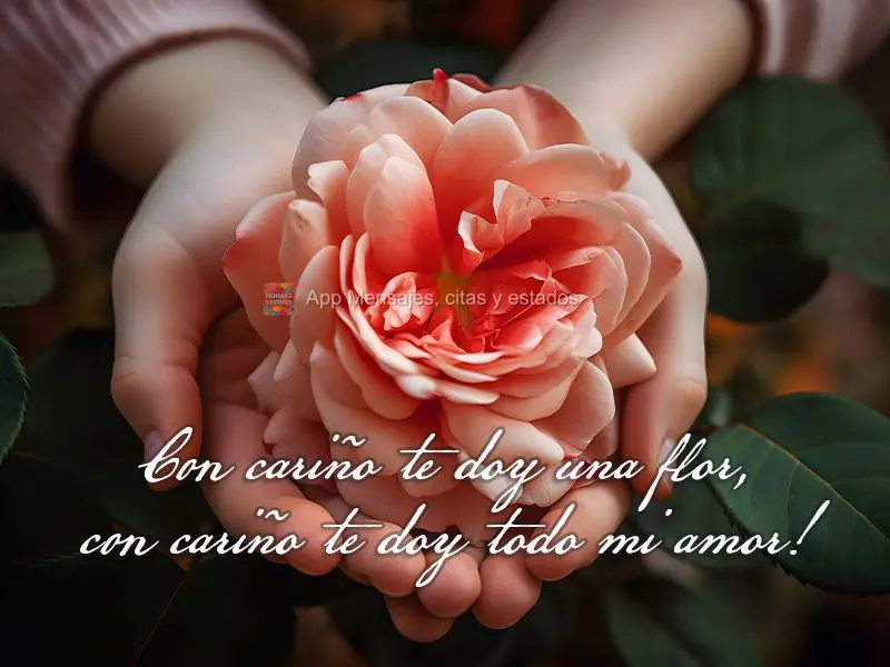 Com carinho lhe entrego uma flor, com carinho lhe entrego todo o meu amor!