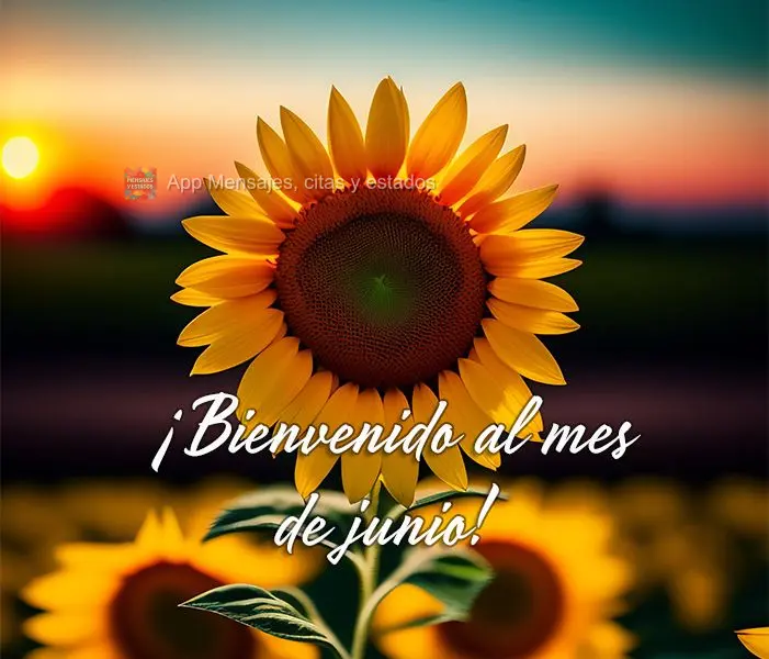 Sem Bem-vindo ao Mês de Junho!