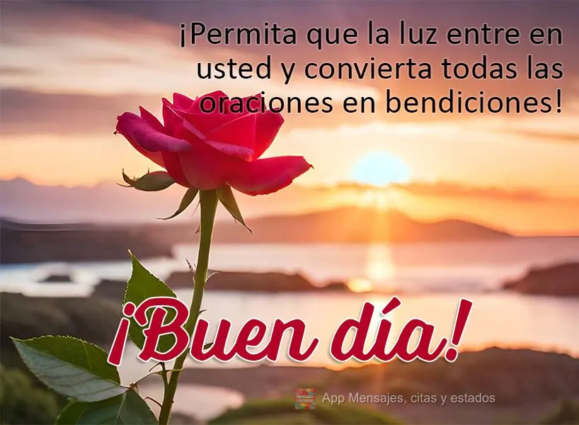 Permita que a luz entre em você e transforme todas as preces em bênçãos! Bom dia!