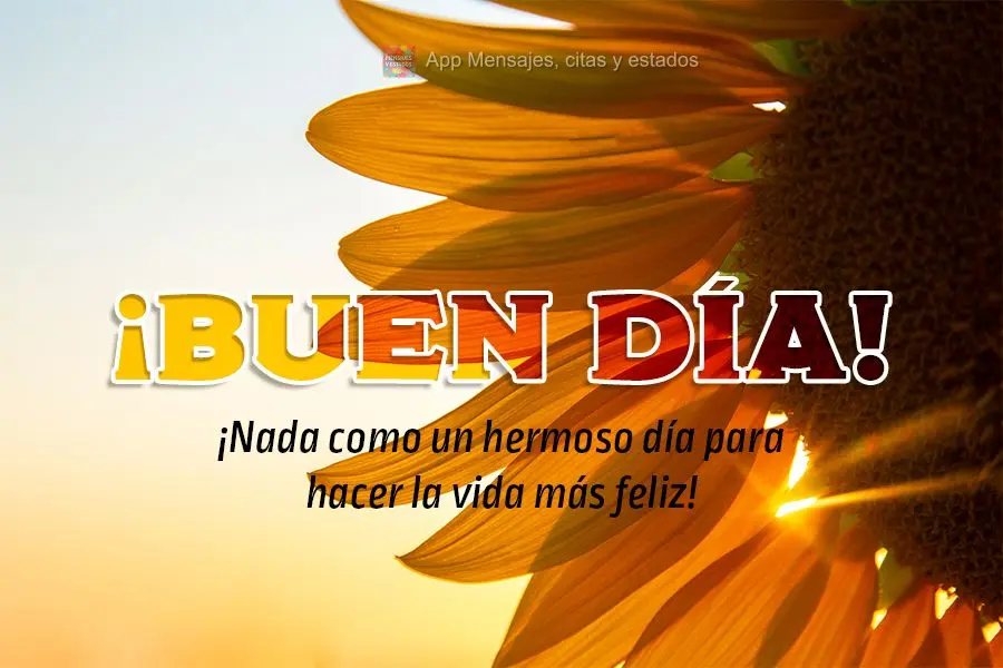 Nada que um lindo dia para fazer a vida mais feliz! Bom dia!