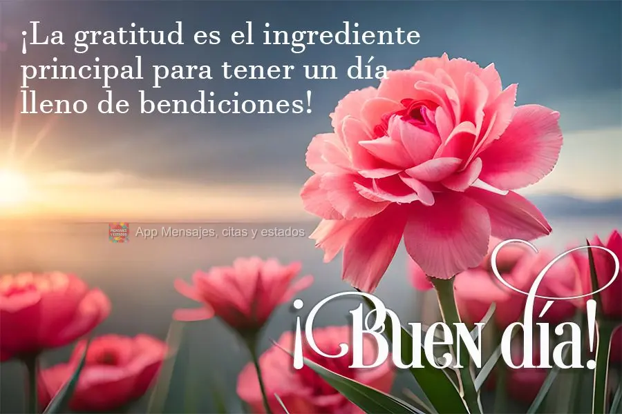 ¡La gratitud es el ingrediente principal para tener un día lleno de bendiciones! ¡Buen día!