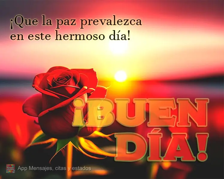 ¡Que la paz prevalezca en este hermoso día! ¡Buen día!