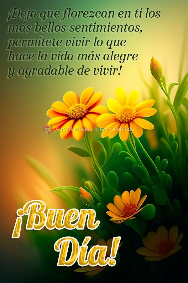 Deixe florescer os sentimentos mais bonitos dentro de você, permita-se viver aquilo que deixa a vida mais alegre e gostosa de se viver! Bom dia!
