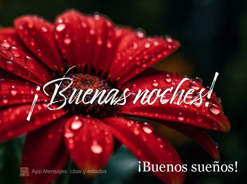 Boa noite! Bom sonhos!