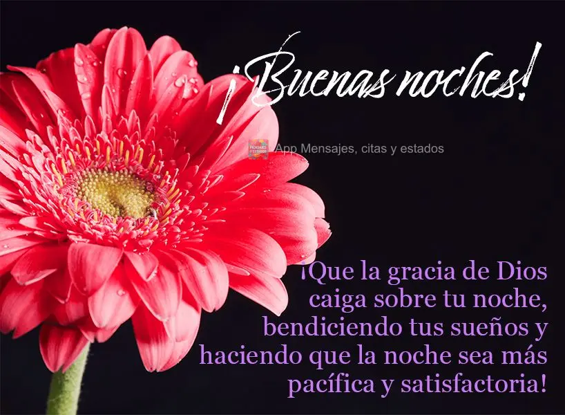 Que a graça de Deus caia sobre a sua noite, abençoando os seus sonhos e deixando a noite mais tranquila e satisfatória! Boa noite!