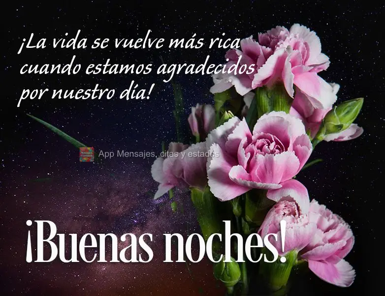 ¡La vida se vuelve más rica cuando estamos agradecidos por nuestro día! ¡Buenas noches!