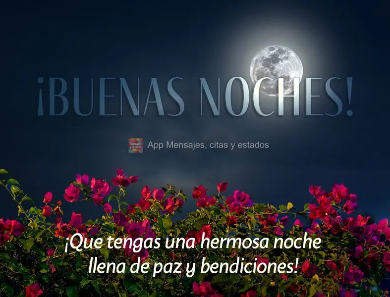 Tenha uma linda noite cheia de paz e bênçãos! Boa noite!