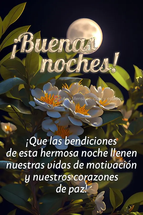Que as bênçãos desta linda noite venham para encher nossa vida de motivação e nosso coração de paz! Boa noite!