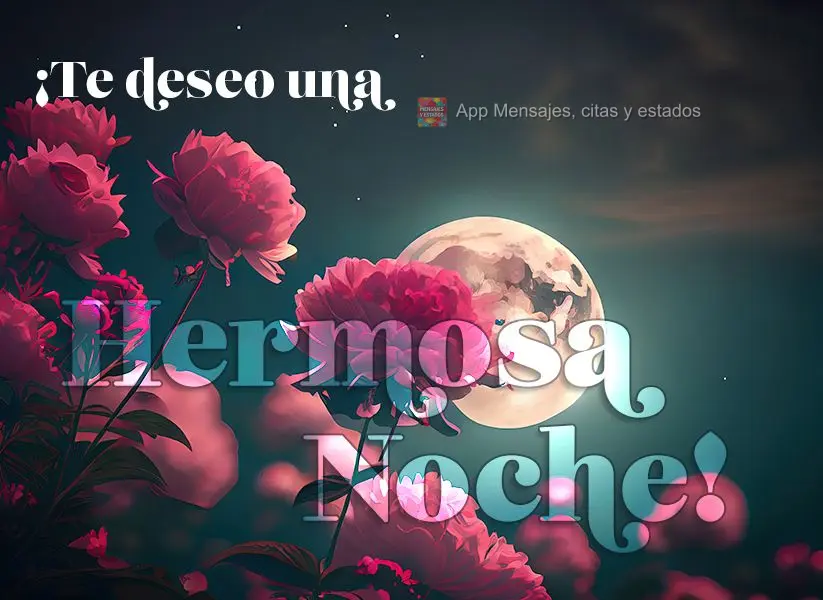 Desejo uma linda noite!