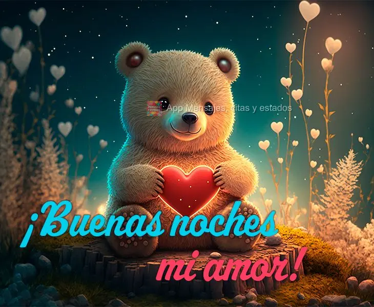 ¡Buenas noches mi amor!