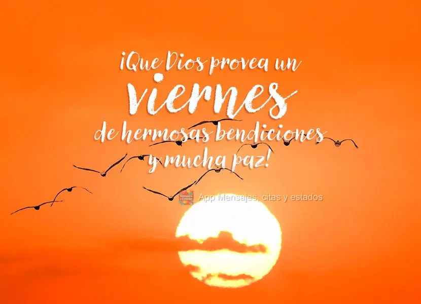 Que Deus possa providenciar uma Sexta-feira de lindas bênçãos e muita paz!