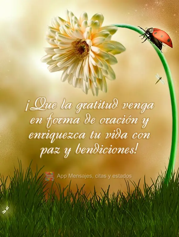 Que a gratidão venha em forma de oração e enriqueça a sua vida com muita paz e bênçãos!