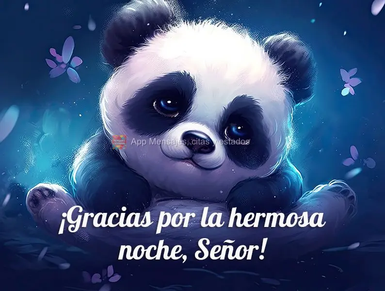 ¡Gracias por la hermosa noche, Señor!