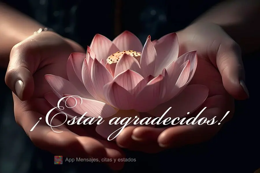 ¡Estar agradecidos!