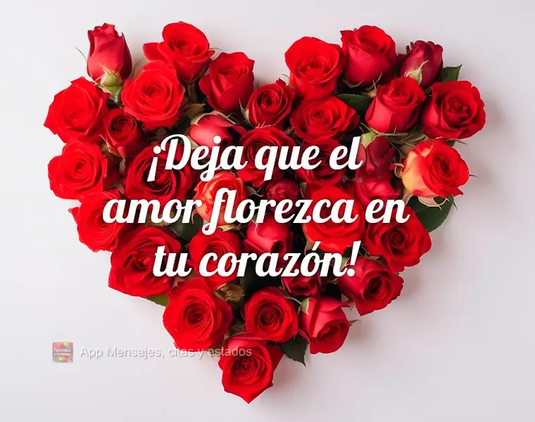 ¡Deja que el amor florezca en tu corazón!