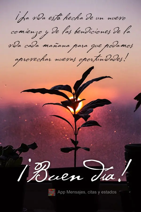 ¡La vida está hecha de un nuevo comienzo y de las bendiciones de la vida cada mañana para que podamos aprovechar nuevas oportunidades! ¡Buen día!