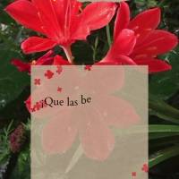 Que as bênçãos do dia venham para alegrar o seu dia, encher sua vida de gratidão e fazer mais feliz o seu coração! Bom dia!