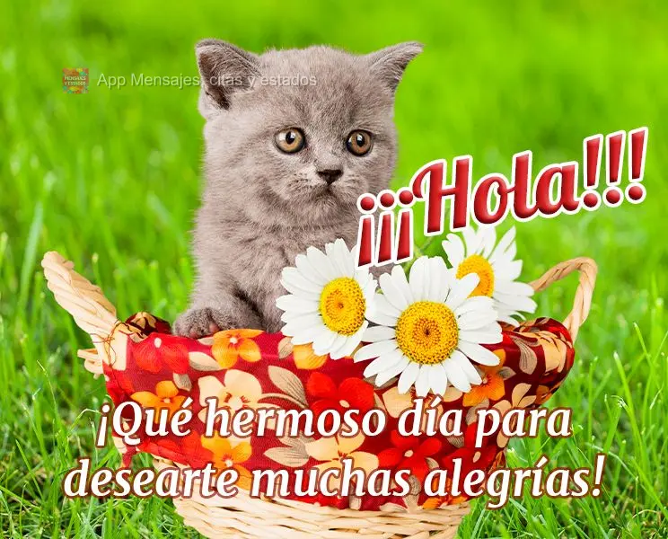 ¡¡¡Hola!!! ¡Qué hermoso día para desearte muchas alegrías!