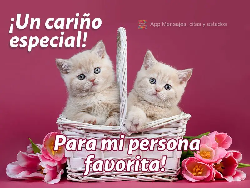 ¡Un cariño especial! Para mi persona favorita!