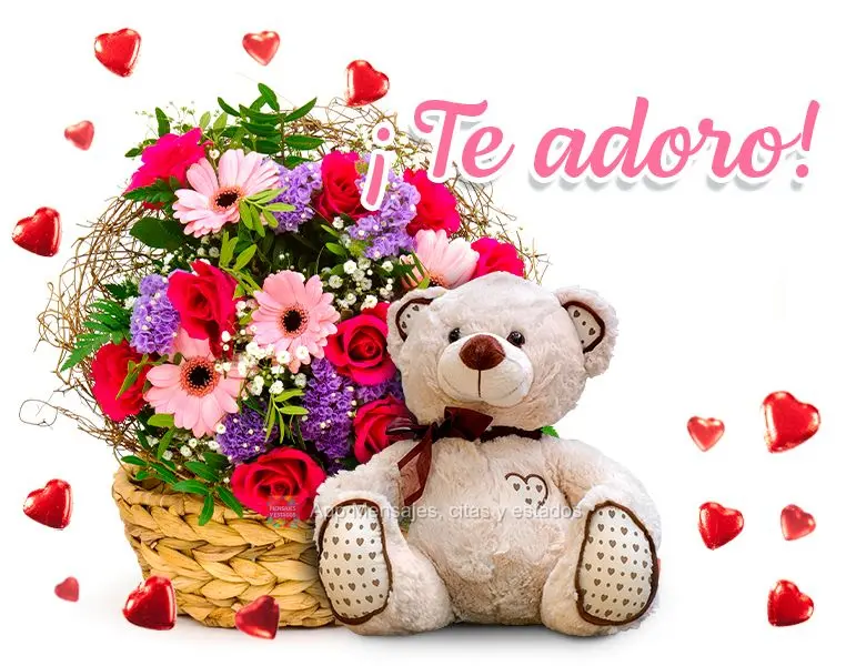 ¡Te adoro!