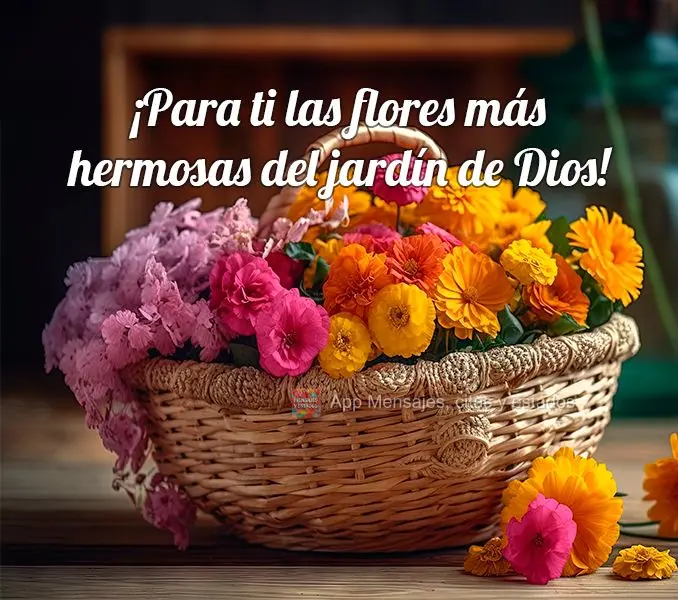 ¡Para ti las flores más hermosas del jardín de Dios!
