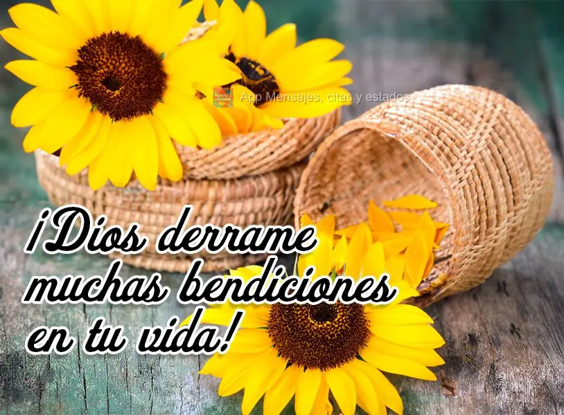 ¡Dios derrame muchas bendiciones en tu vida!