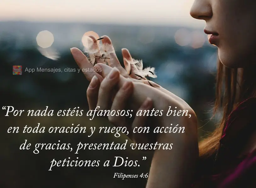 “Por nada estéis afanosos; antes bien, en toda oración y ruego, con acción de gracias, presentad vuestras peticiones a Dios.” Filipenses 4:6