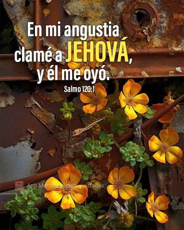 En mi angustia clamé a Jehová, y él me oyó. Salmo 120:1
