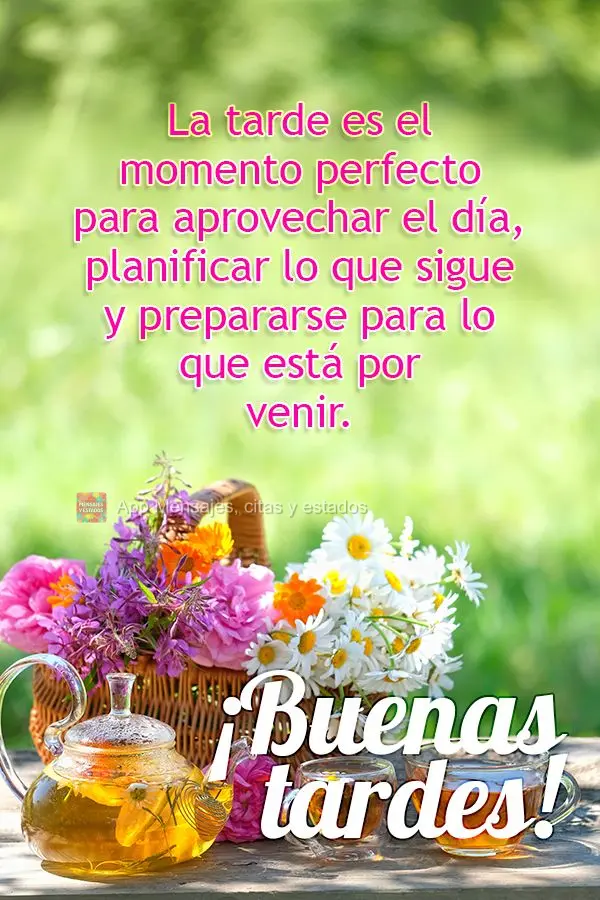 A tarde é a hora perfeita para aproveitar o dia, planejar o que vem a seguir e se preparar para o que está por vir. Boa tarde!