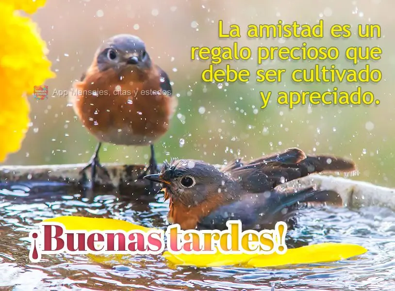 La amistad es un regalo precioso que debe ser cultivado y apreciado. ¡Buenas tardes!