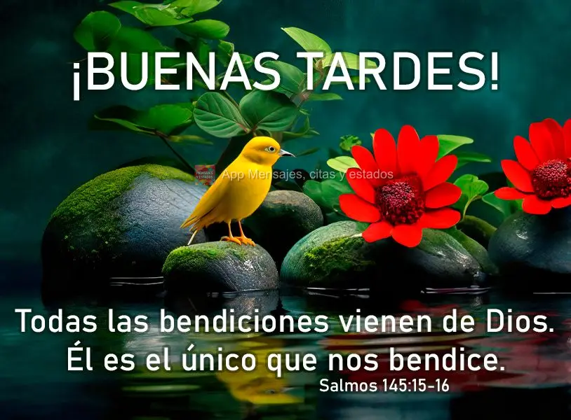 Todas as bênçãos vêm de Deus. Ele é o único que nos abençoa. Boa tarde! Salmos 145:15-16