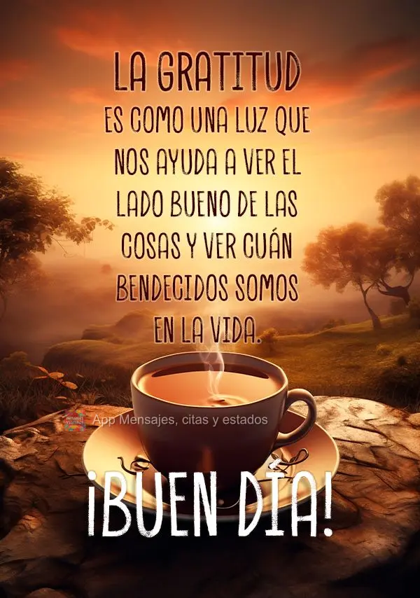 A gratidão é como uma luz que nos ajuda a ver o lado bom das coisas e a ver o quanto somos abençoados na vida. Bom dia!