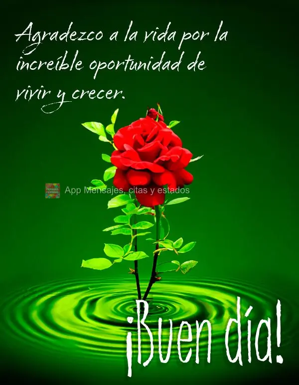 Agradeço à vida pela incrível oportunidade de viver e crescer. Bom dia!