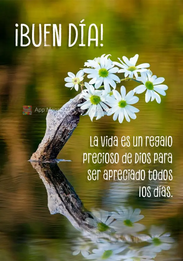 Avida é um presente precioso de Deus a ser apreciado todos os dias. Bom dia!