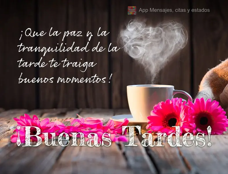 Que a paz e a tranquilidade do fim de tarde tragam bons momentos para você! Boa tarde!