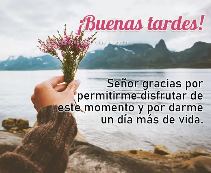 Señor gracias por permitirme disfrutar de este momento y por darme un día más de vida. ¡Buenas tardes!