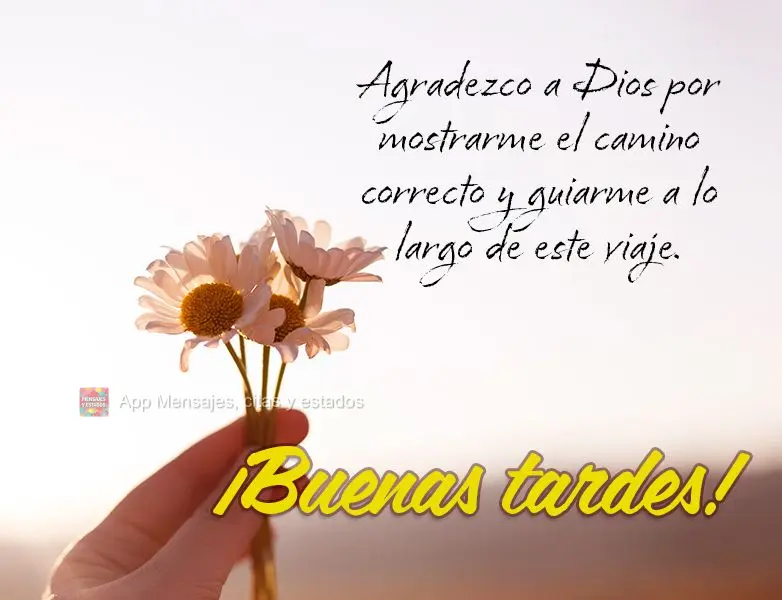 Agradeço a Deus por me mostrar o caminho certo e me guiar ao longo desta jornada. Boa tarde!