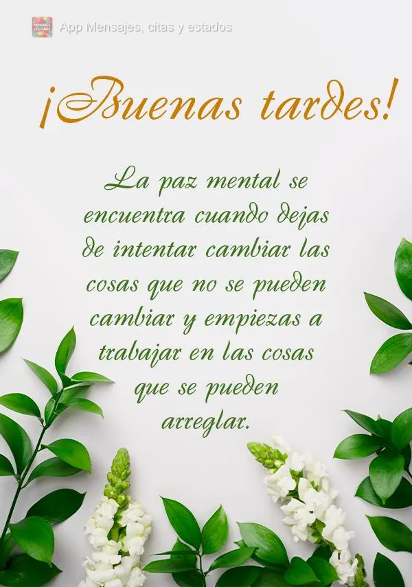 La paz mental se encuentra cuando dejas de intentar cambiar las cosas que no se pueden cambiar y empiezas a trabajar en las cosas que se pueden arreglar....