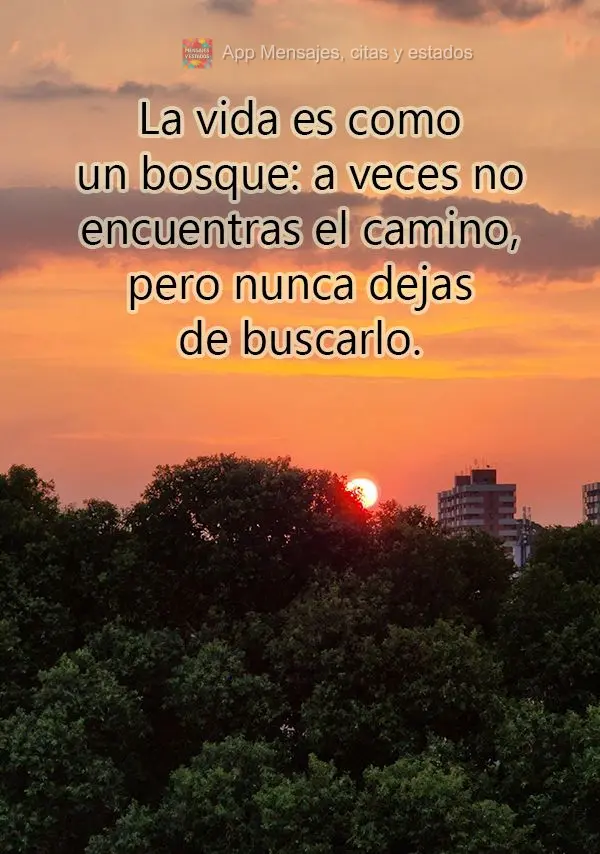 La vida es como un bosque: a veces no encuentras el camino, pero nunca dejas de buscarlo.