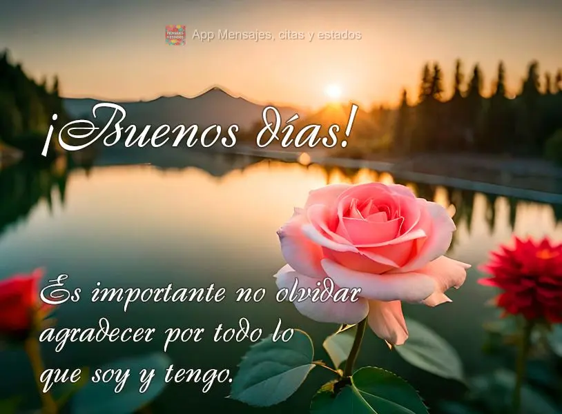 É importante não se esquecer de agradecer por tudo o que sou e tenho. Bom dia!