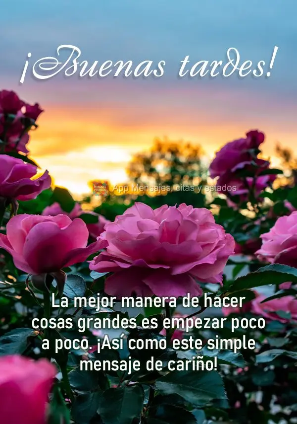 A melhor maneira de fazer grandes coisas é começar com as pequenas. Assim como esta simples mensagem de carinho! Boa tarde!