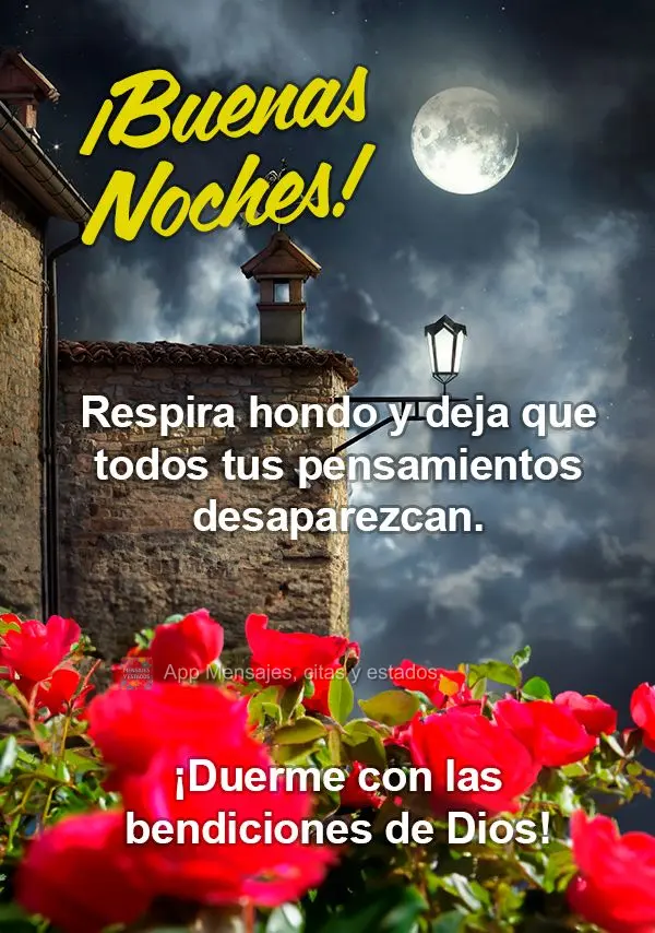 Respire fundo e deixe todos os seus pensamentos desaparecerem. Durma em com as bênçãos de Deus! Boa noite!