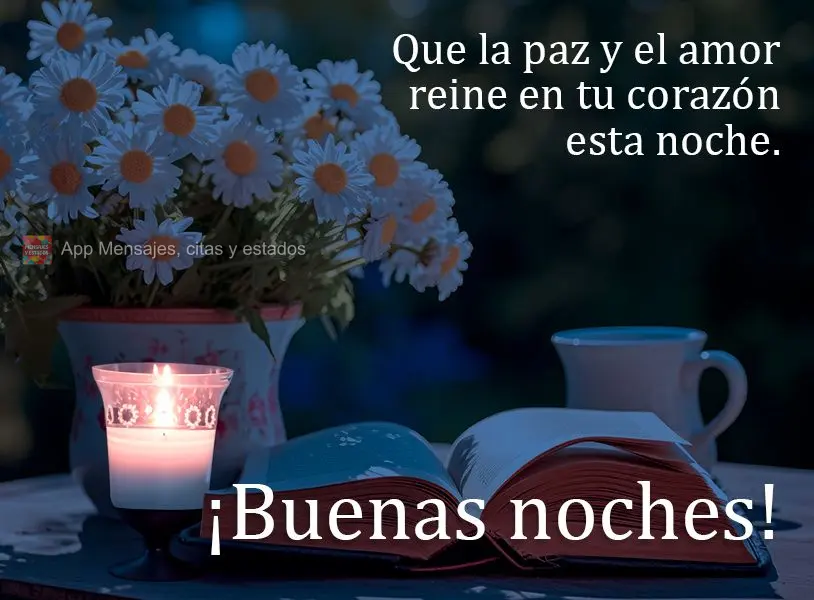 Que a paz e o amor possam reinar em seu coração durante esta noite. Boa noite!