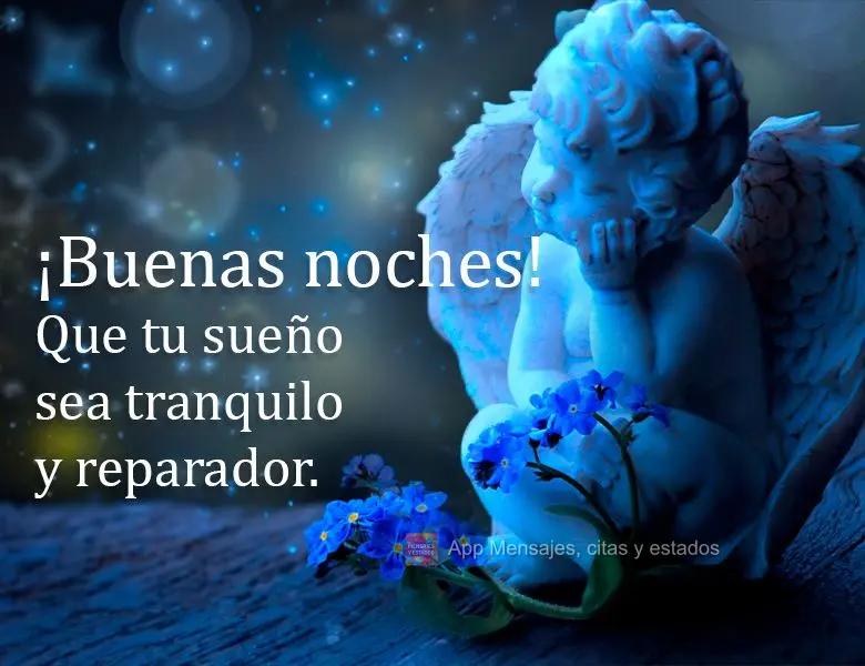 Que tu sueño sea tranquilo y reparador. ¡Buenas noches!