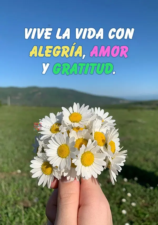 Vive la vida con alegría, amor y gratitud.