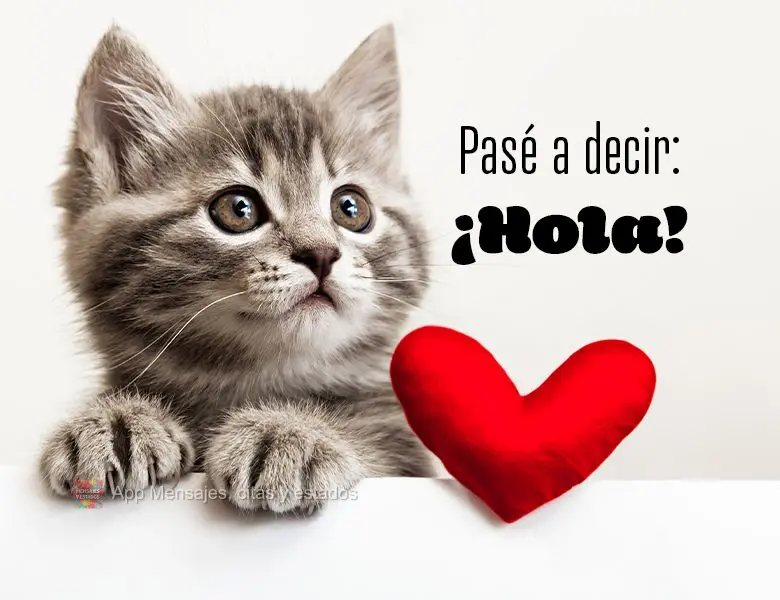 Pasé a decir: ¡Hola!