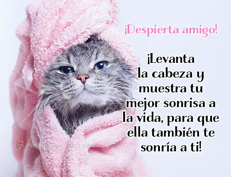¡Despierta amigo! ¡Levanta la cabeza y muestra tu mejor sonrisa a la vida, para que ella también te sonría a ti!