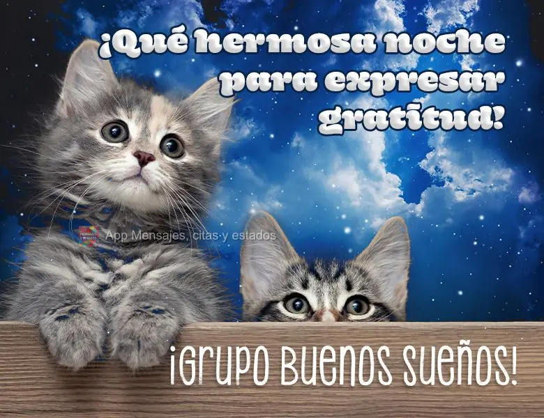 ¡Qué hermosa noche para expresar gratitud! ¡Grupo Buenos Sueños! 