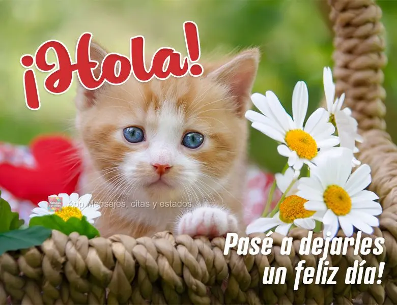 ¡Hola! Pasé a dejarles un feliz día!