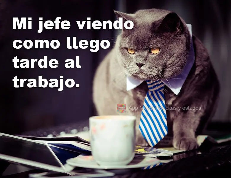 Mi jefe viendo como llego tarde al trabajo.